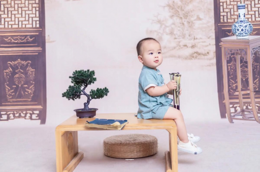 试管代怀生子合法吗可爱的企鹅宝宝
